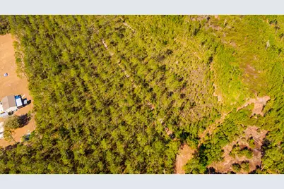 0000 NE 125th Ave, Fort Mc Coy, FL 32134 - Photo 4