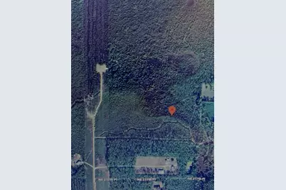 0000 NE 125th Ave, Fort Mc Coy, FL 32134 - Photo 8