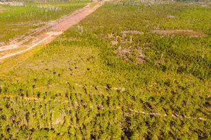 0000 NE 125th Ave, Fort Mc Coy, FL 32134 - Photo 1