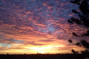 2200 S Ocean Blvd, Delray Beach, FL 33483 - Photo 4