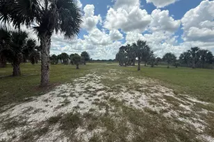 19374 NW 302nd St, Okeechobee, FL 34972 - Photo 1