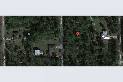 2018 Canton Avenue, Alva, FL 33920 - Photo 4