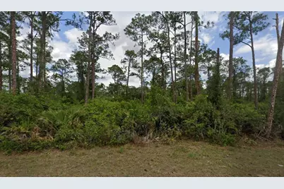 2018 Canton Avenue, Alva, FL 33920 - Photo 2