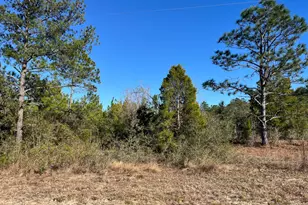 Tbd Fairview Rd, Marianna, FL 32448 - Photo 1