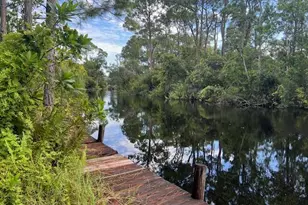 1137 Greenfield St, Lake Placid, FL 33852 - Photo 1