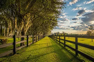 26209 SW Jockeys Run, Okeechobee, FL 34974 - Photo 28