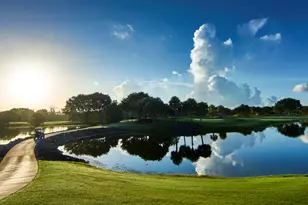 9004 Lakes Blvd, West Palm Beach, FL 33412 - Photo 76