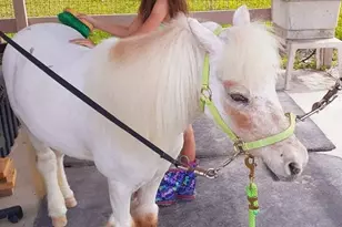 13660 Orange Grove Blvd, The Acreage, FL 33411 - Photo 24