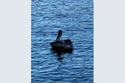 650 Snug Harbor Drive #G310, Boynton Beach, FL 33435 - Photo 30