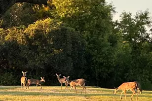 9182 SE Eldorado Way, Hobe Sound, FL 33455 - Photo 36