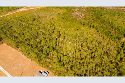 0000 NE 125th Ave, Fort Mc Coy, FL 32134 - Photo 4