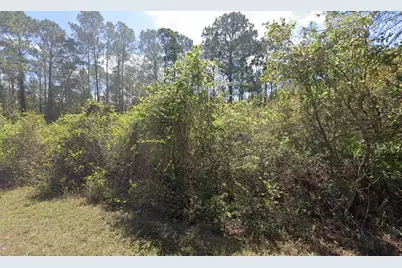 337 Palm Way, Georgetown, FL 32139 - Photo 6