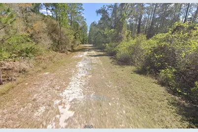 337 Palm Way, Georgetown, FL 32139 - Photo 8