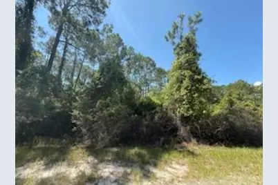 337 Palm Way, Georgetown, FL 32139 - Photo 4