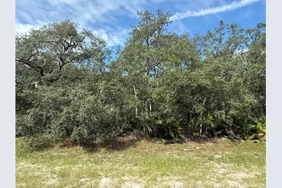 Tbd SW 146th Lane Road, Dunnellon, FL 34432 - Photo 8