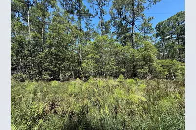 210 SE 2nd Street, Georgetown, FL 32139 - Photo 1