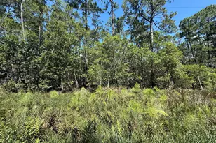 210 SE 2nd St, Georgetown, FL 32139 - Photo 1