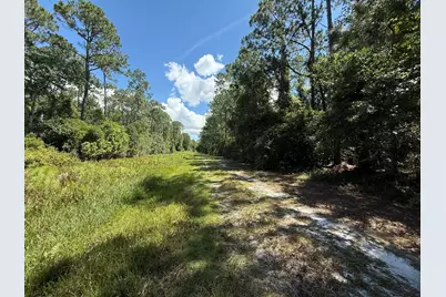 210 SE 2nd Street, Georgetown, FL 32139 - Photo 4