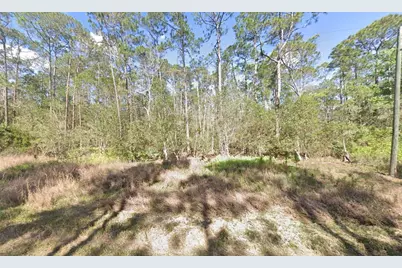 210 SE 2nd Street, Georgetown, FL 32139 - Photo 6