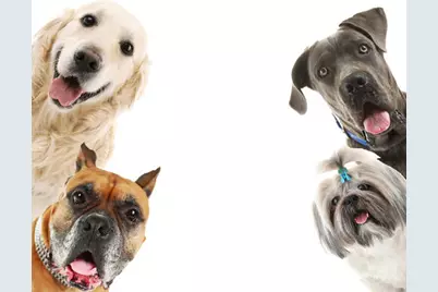 1121 Bel Air Drive #4, Boca Raton, FL 33487 - Photo 52