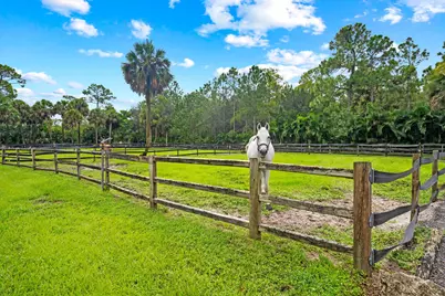 2915 Doe Trail, The Acreage, FL 33470 - Photo 6