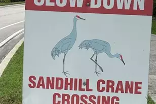 2585 San Andros, West Palm Beach, FL 33411 - Photo 56