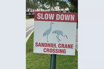 2585 San Andros, West Palm Beach, FL 33411 - Photo 60