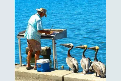 469 NW Blue Lake Drive, Port Saint Lucie, FL 34986 - Photo 66