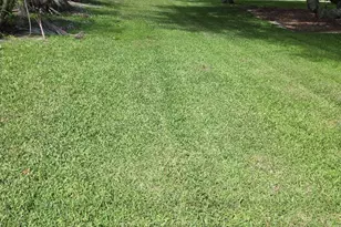 1120 Fairfield Ln, Sebastian, FL 32958 - Photo 32