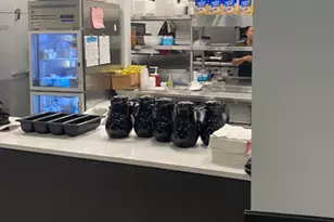 11269 Kona Ct, Boynton Beach, FL 33437 - Photo 60