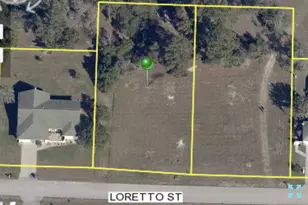 0 Tbd Loretto Lot 5 St, Spring Hill, FL 34608 - Photo 1