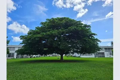 294 Farnham M #294, Deerfield Beach, FL 33442 - Photo 20