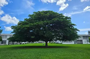 294 Farnham M, Deerfield Beach, FL 33442 - Photo 20