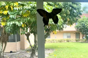 441 Burgundy J, Delray Beach, FL 33484 - Photo 16