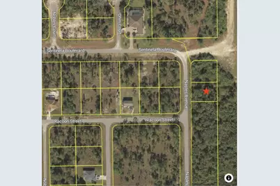 121 Naples Avenue S, Lehigh Acres, FL 33974 - Photo 1