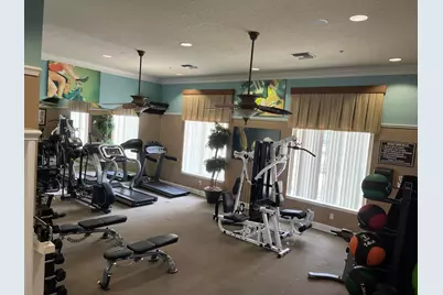 927 Orange Cosmos Boulevard, Davenport, FL 33837 - Photo 60