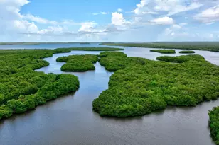 5049 N Hwy A1A, Hutchinson Island, FL 34949 - Photo 12