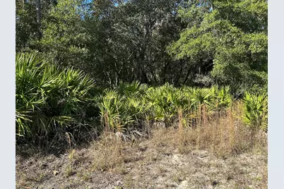 632 N Dunkenfield Avenue, Crystal River, FL 34429 - Photo 2