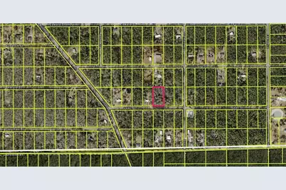 4220 Isaac Street, Hastings, FL 32145 - Photo 2