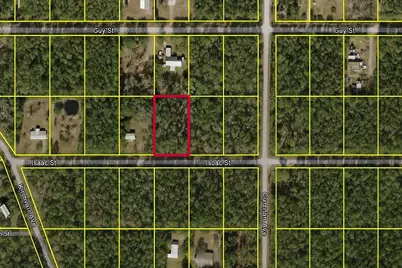 4220 Isaac Street, Hastings, FL 32145 - Photo 1