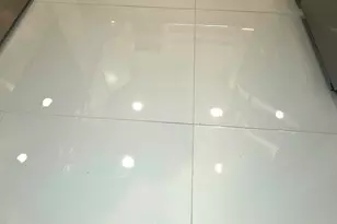 2568 Dudley Dr E, West Palm Beach, FL 33415 - Photo 20