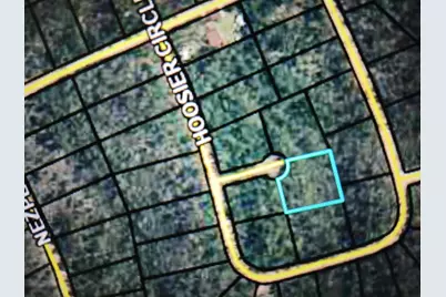 000 Beech Court, Alford, FL 32420 - Photo 2