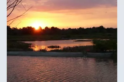 8158 Rosalie Lane, Wellington, FL 33414 - Photo 36