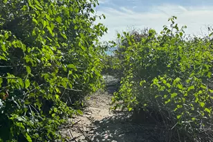 4200 N Surf Rd, Hollywood, FL 33019 - Photo 32