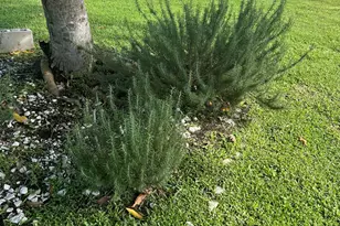 1592 SE Burning Ct, Port Saint Lucie, FL 34952 - Photo 16