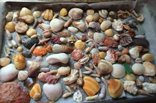 620 Horizons, Boynton Beach, FL 33435 - Photo 58