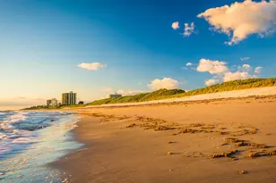 11913 Bayberry St, Palm Beach Gardens, FL 33410 - Photo 42