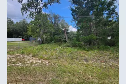 232 1st Way, Interlachen, FL 32148 - Photo 2