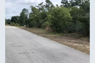 1731 Charleston Street, Lake Placid, FL 33852 - Photo 2