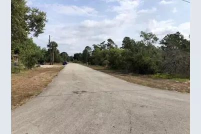 1731 Charleston Street, Lake Placid, FL 33852 - Photo 8